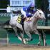 Gray Attempt Comes Through In Smarty Jones Stakes